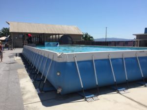 Dock diving pool