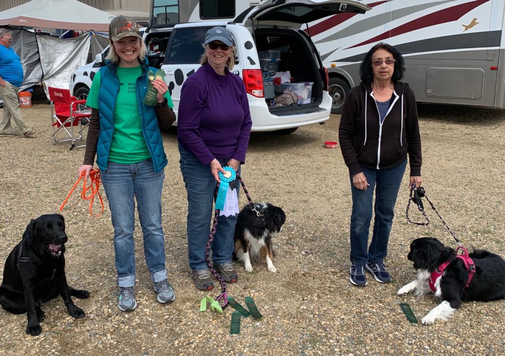 Three women holding ribbons with three dogs at their feet